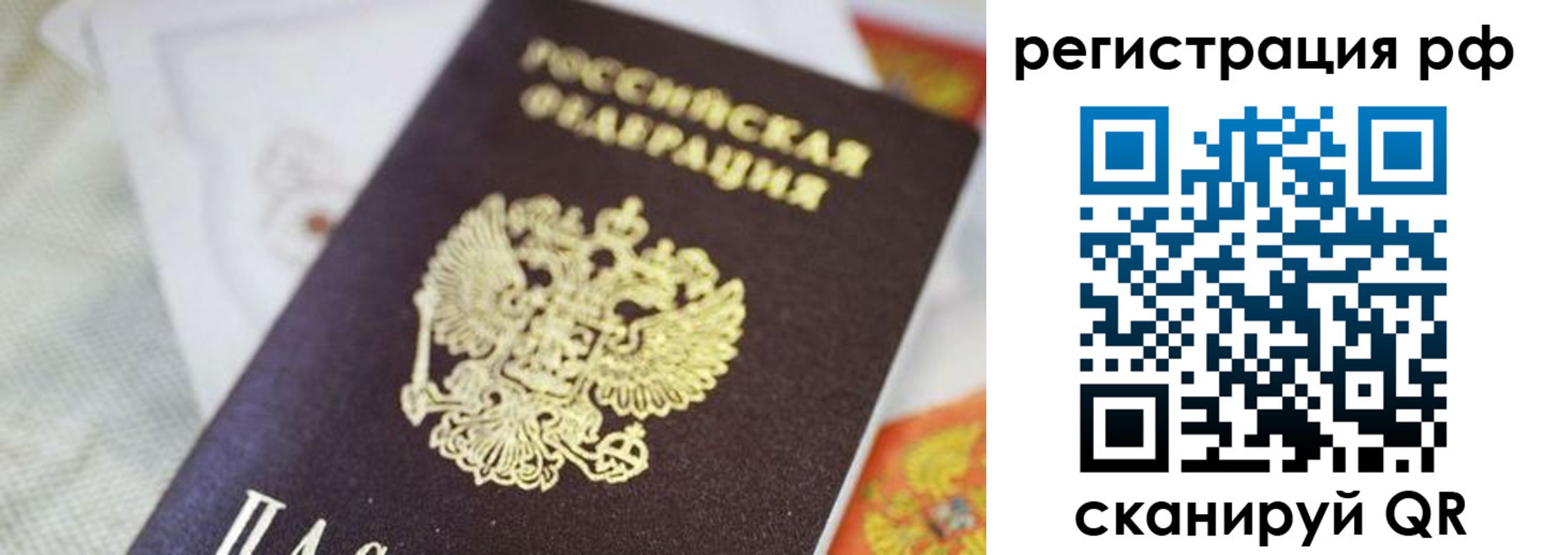 прописка гарантия в Шумихе